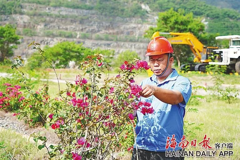 海南这座矿山，为何这么绿？4.jpg
