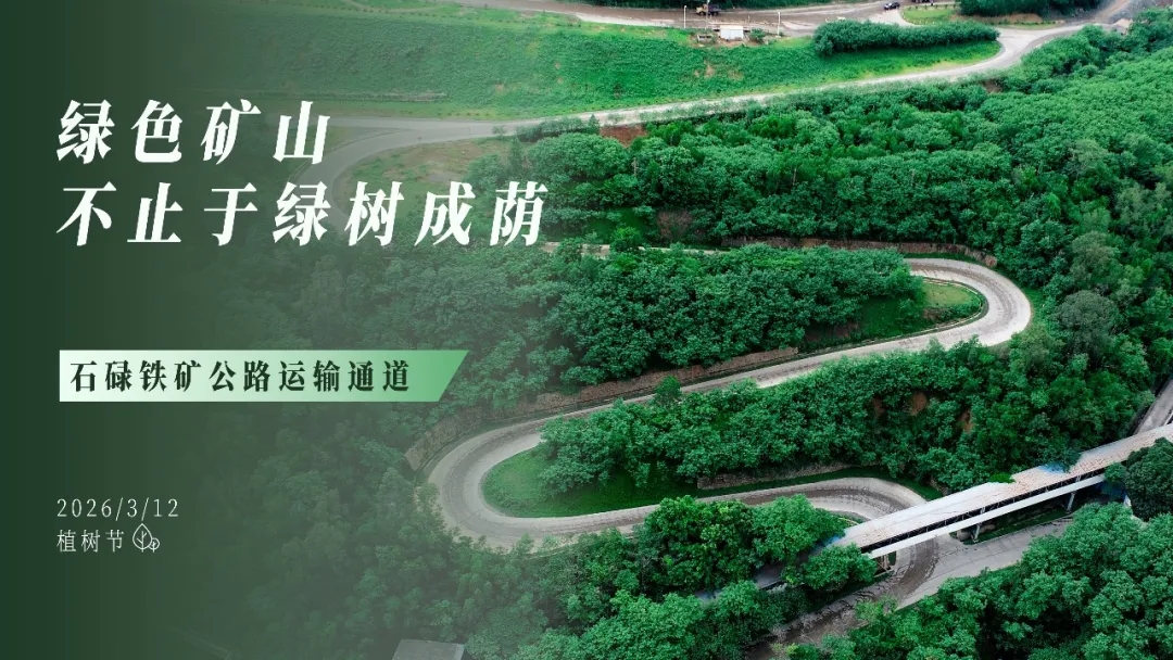 植树节 | 绿色矿山，不止于绿树成荫