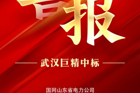 热烈祝贺尊龙凯时官网网址中标国网山东省电力公司2022年第三次物资果真招标采购项目