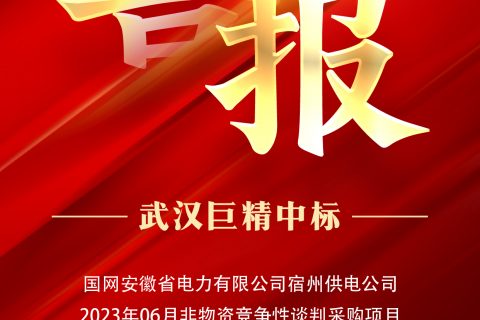 热烈祝贺尊龙凯时官网网址中标国网安徽省电力有限公司宿州供电公司2023年06月非物资竞争性谈判采购项目