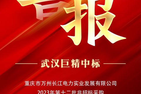 热烈祝贺尊龙凯时官网网址中标重庆市万州长江电力实业生长有限公司2023年第十二批非招标采购